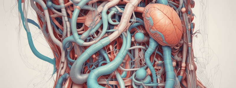 chapter 15 . quiz 4. Gastrointestinal System Nociception and Innervation