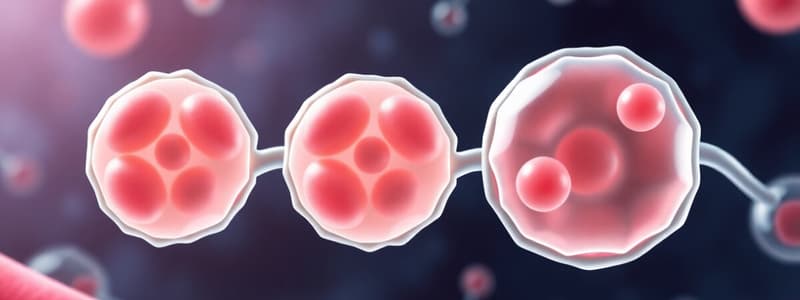 Overview of Fat Metabolism