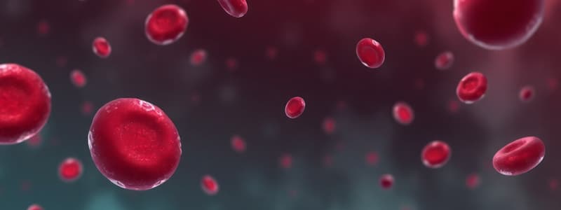 Understanding Anemia and Its Causes