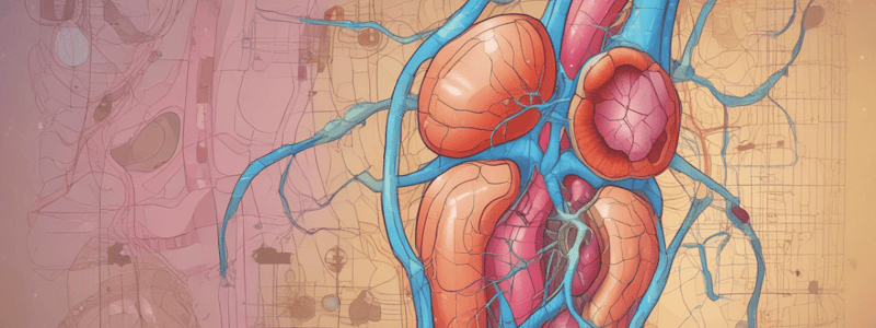 Urinary System