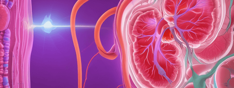 Kidney Function Assessment Quiz