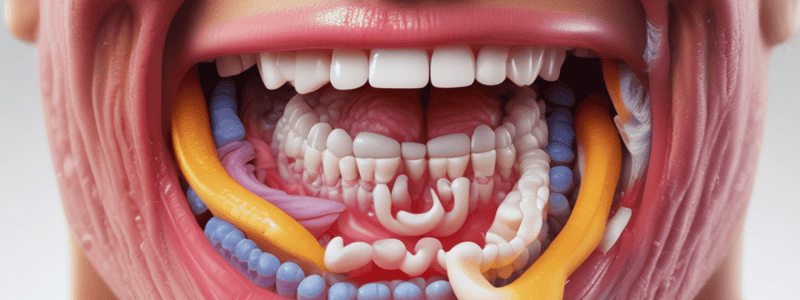 Appetite Control and Oral Cavity Anatomy