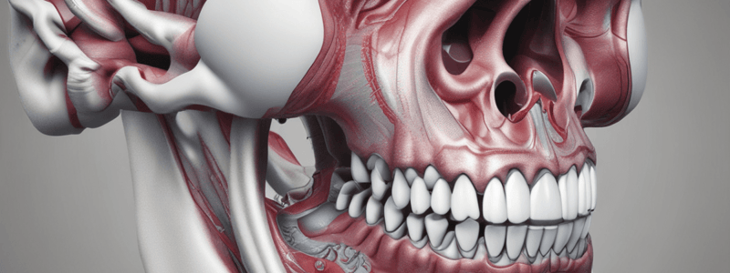 Dentition Root Morphology Quiz