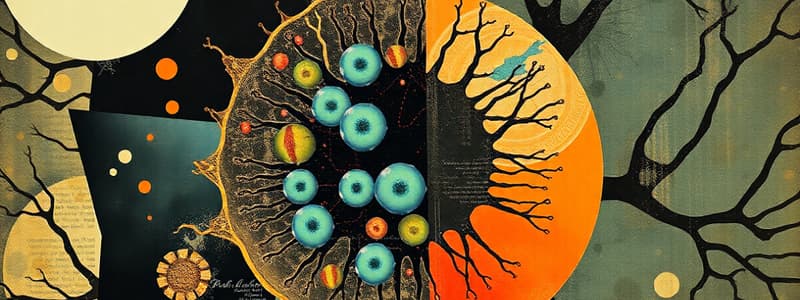 Mitochondria Structure and Functions