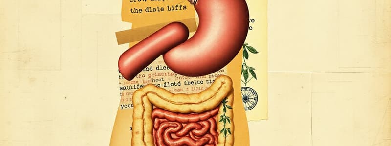 D1.2 - The Digestive System