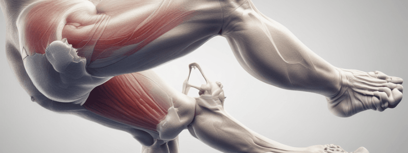 Special Tests for Hamstring Strain and Snapping Hip Conditions