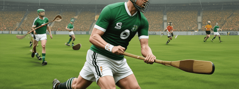 Introduction to Hurling