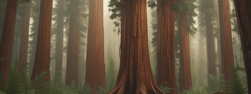 Biology Chapter: Redwoods and Arms Races