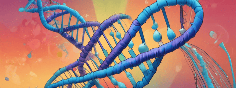 DNA Replication: Primase and Replication Bubble