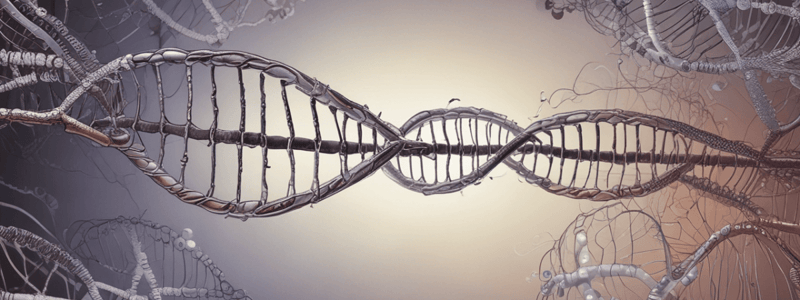 RNA Splicing and Transcript Processing