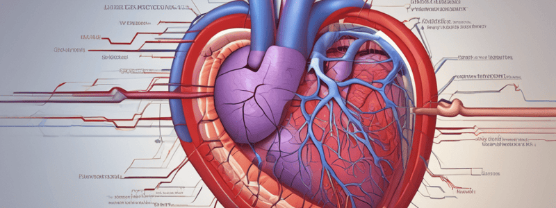 Supraventricular Tachycardia: Causes and Characteristics