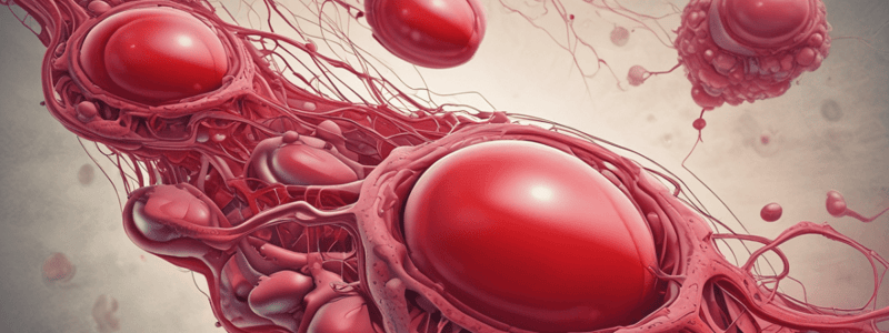 Chapter 17: Hematologic Systems - Microcytic Anemia Causes