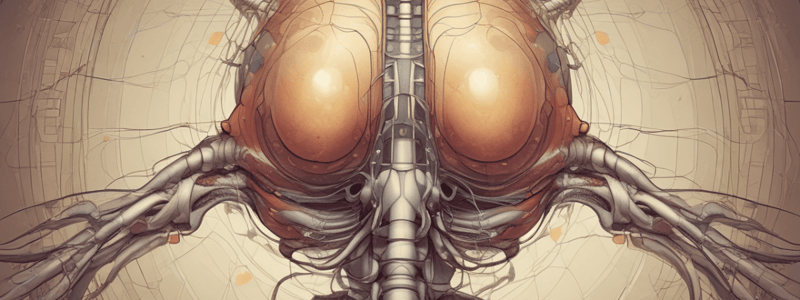 pathophys2 final: The Spinal Cord ppt