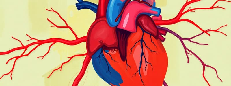 Cardiovascular System Quiz