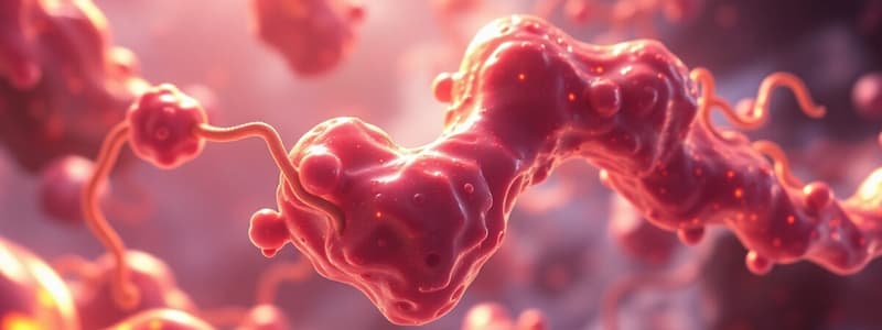 Lipid Metabolism and Fatty Acid Oxidation