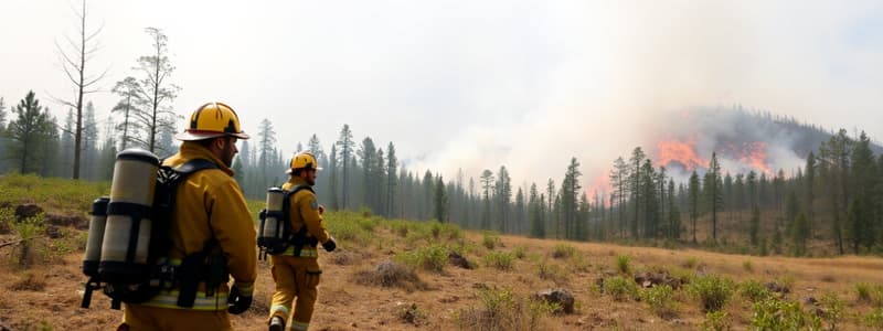 Wildland Fire Incident: Policy and Procedure