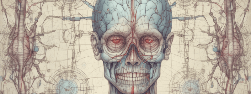 Cranial Nerves in Neuroscience Section 2