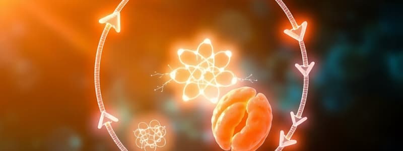 The Citric Acid Cycle and Cellular Respiration