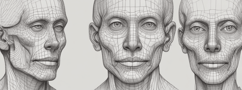 Anatomy of the Face