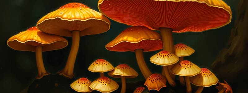 Psilocybin: Origins and Usage