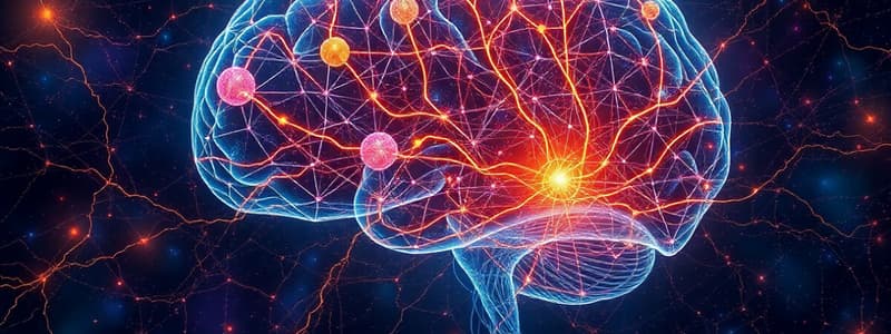 Sensory Pathways and Diencephalon