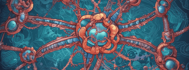 RNA and DNA Nitrogenous Bases