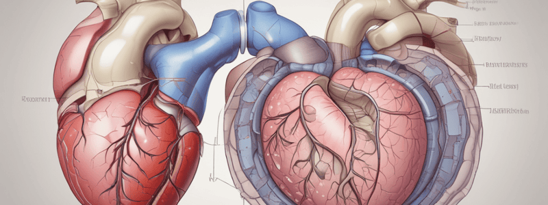 Mitral Valve Disease Overview