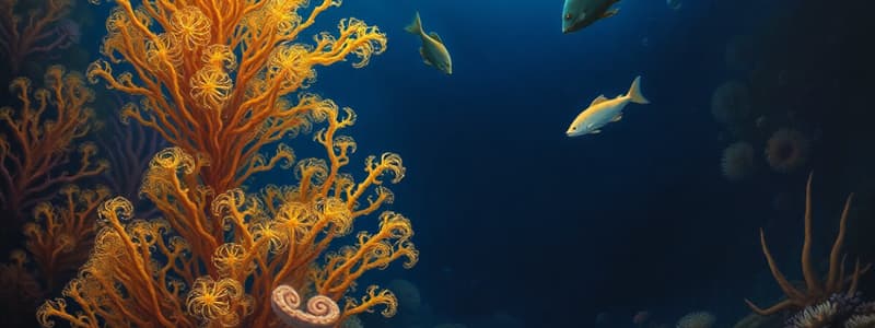 Marine Biology: Deep-Sea Ecosystems Quiz