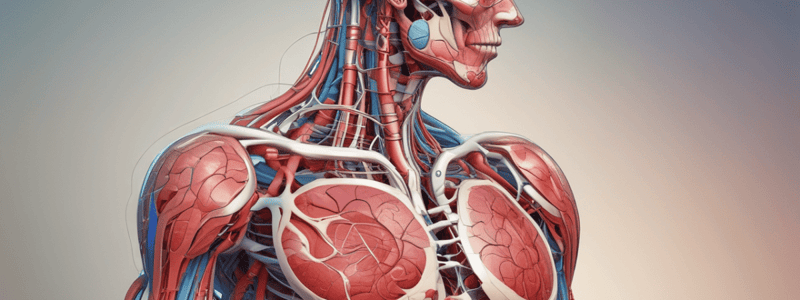 Human Anatomy and Physiology Quiz