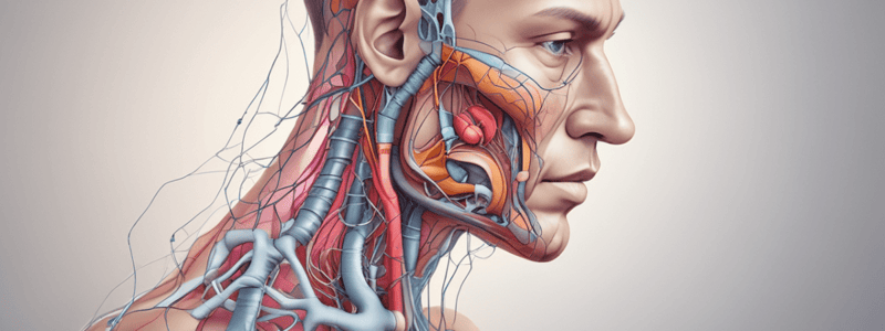 Lung Mechanics: Factors Affecting Airway Resistance