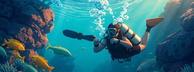 ITDA Advanced Scuba Diver Training