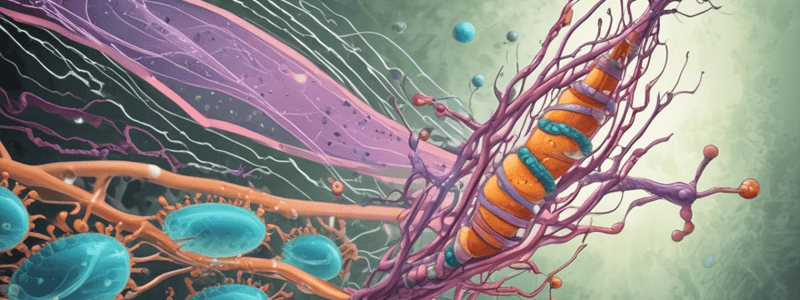 MICR3330: Lateral Gene Transfer Lecture