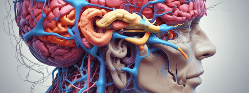 Neurophysiology of Sensation Quiz