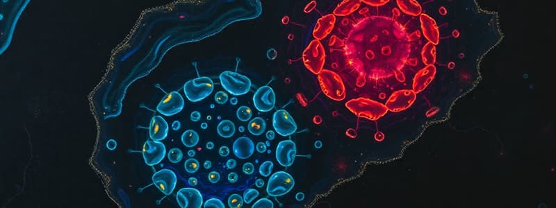 Cell Biology Quiz - Organelles and Signaling