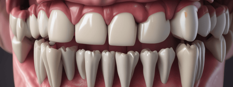 Oral Anatomy: Gingiva and Periodontium