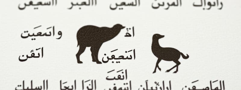 Arabic Language Quiz