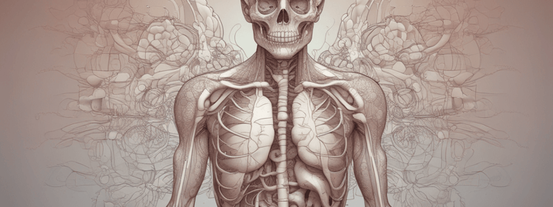 Respiratory Anatomy 1.2