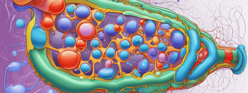 Cell Membrane Structure