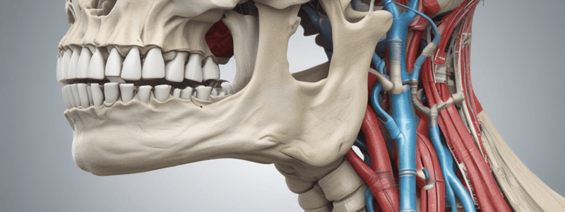 Anatomy of the Ligamentum Stylomandibulare and Upper Compartment of the Temporomandibular Joint