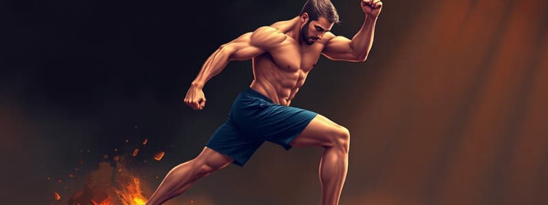 Muscle Coordination and Training Quiz