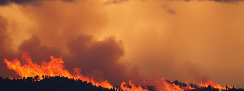 Comportamiento del Fuego y Tormentas