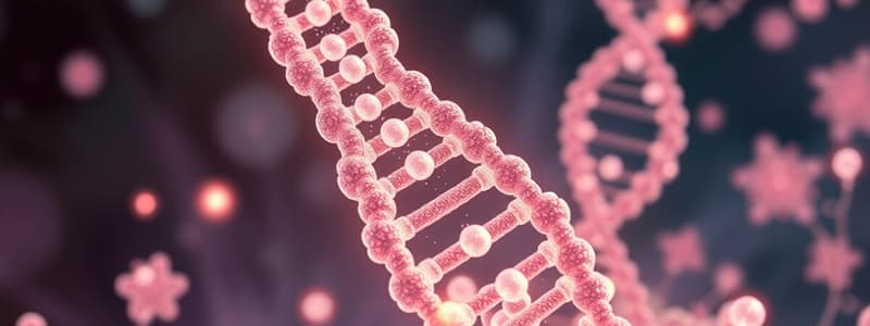 Understanding the process of PCR