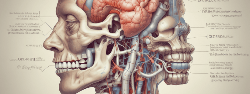 Sinusitis and Respiratory Conditions