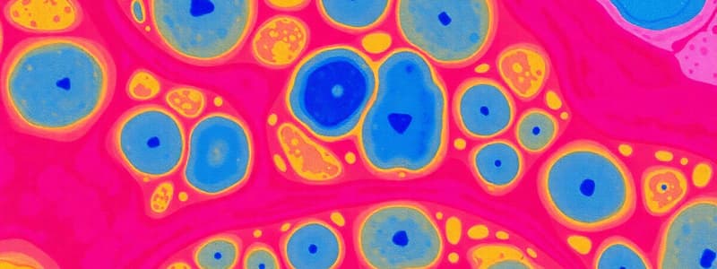 Epithelial Tissue Characteristics