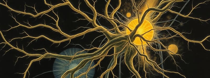 Cells and Neuron Structure in Nervous System