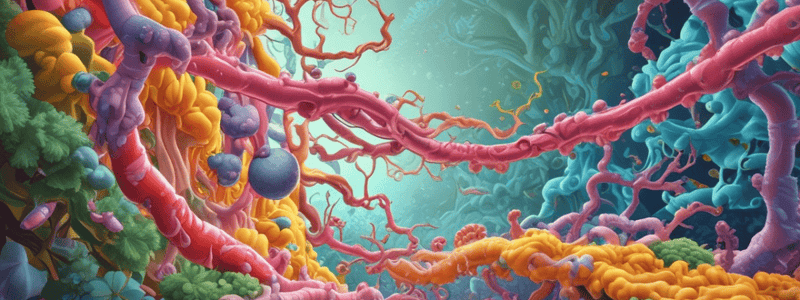 Tyrosine Kinase Receptor - JAK STAT Pathway Overview