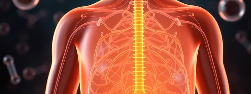 Endocrine Control of Growth: Adrenal Glucocorticoids