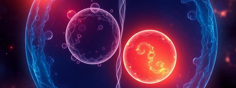 Cell Division: Mitosis and Meiosis