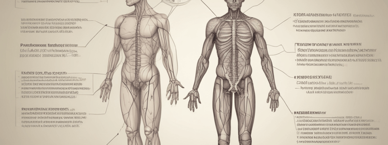 Peripheral Nerve Surgery Evaluation and Management Quiz