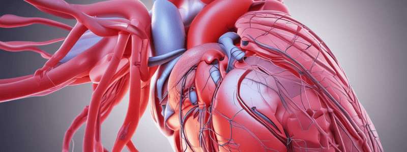 Cardiac Examination: Anatomy and Cycle